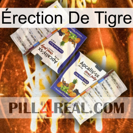 Érection De Tigre 12